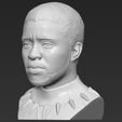 3.jpg Chad Boseman Black Panther bust 3D printing ready stl obj formats