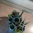 Plantygon - Modular Geometric Stacking Planter for Succulents