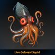 ColossalSquid01.jpg Lebendiger Riesenkalmar