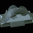 zander-statue-4-mouth-open-44.png fish zander / pikeperch / Sander lucioperca open mouth statue detailed texture for 3d printing