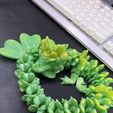 Lucky Clover Dragon, St. Patrick's Day Articulating Flexi Wiggle Pet, Print in Place, Fantasy Shamrock Dragon, Bornify