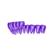 upperjaw NCT Design.stl All Collection For exocad