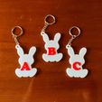 1695067492691.jpg PORTE-CLÉS LAPIN AVEC INITIALES A - Z