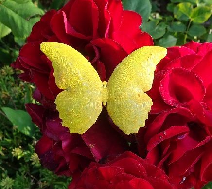 papillon.jpg Mariposa