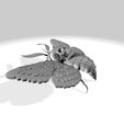 butterfly-3d-model33e.jpg DEATH'S HEAD HAWKMOTH