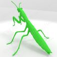 mantis.jpg Archivo STL Mantis religiosa・Modelo de impresora 3D para descargar