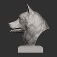 Husky5.jpg Husky bust 3D print model