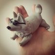 IMG_20220228_171423_edit_6372509630276.jpg Archivo STL FLEXY CORGI・Diseño de impresora 3D para descargar