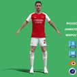 Vieira_1.jpg 3D Rigged Fabio Vieira Arsenal 2024