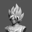 IMG_20230430_183441.jpg GOKU BUST SCULPTURE