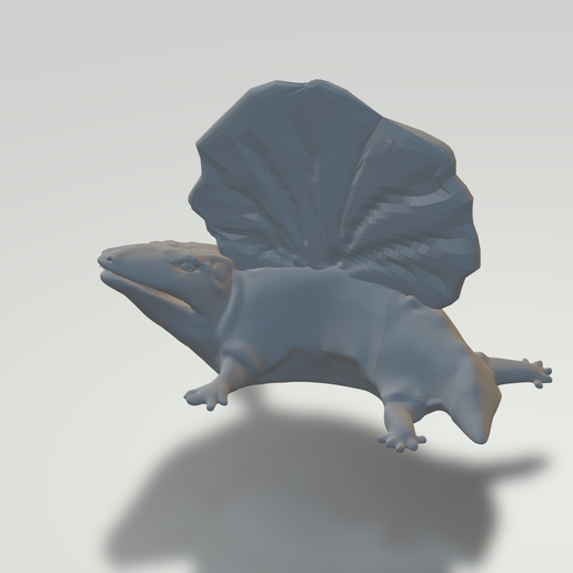 platyhystrix 3D model