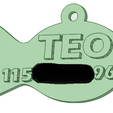 Teo.png Customized pet tags
