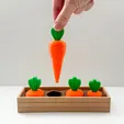 1000225491.webp Carrot Garden Layered Fidget Toy