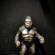 IMG_20221117_112030.jpg King Kong (1976)