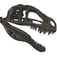 01.jpg Acrocanthosaurus