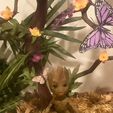 Baby Groot