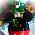 WhatsApp-Image-2021-04-11-at-01.05.15.jpeg Pot Mickey Mouse