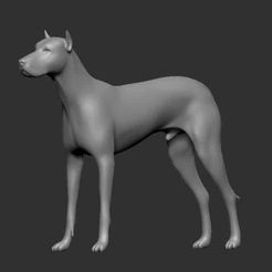 Dog-e1579176635555.jpg Free OBJ file Dog・3D print design to download