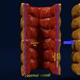 ps7.jpg 3D Angiogenesis NEW BLOOD VESSEL FORMATION
