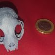 20230212_094658.jpg stl file 3d printing skull cat ornament Figurine