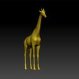gfg222.jpg Girafe