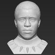 1.jpg Chad Boseman Black Panther bust 3D printing ready stl obj formats