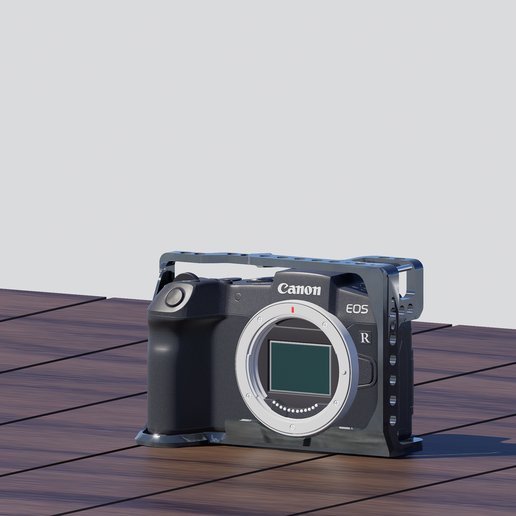 Rig Cage for Canon RP 3D print model