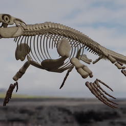 esqueleto6.png Mosasaur Skeleton