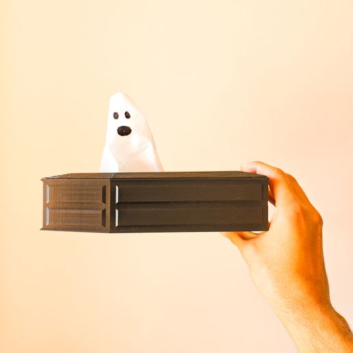 IMG_20251007_121035.jpg Ataúd para toser