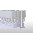 Screenshot_8.png Digital Dental Unsectioned Study Model