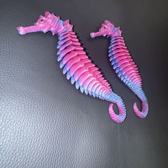 FLEXI SKELTON SEAHORSE