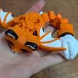 bot-fox-pic2.jpg Bat Wing Fox