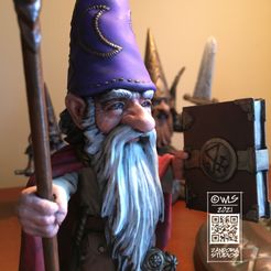 Photo-Jul-27,-4-55-27-PM.jpg Fichier STL Magicien des gnomes・Objet imprimable en 3D à télécharger