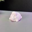 IMG_3961.jpg Cute Sheep