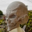 20210724_122940.jpg Skull Frieza - Freezer Skull