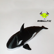 Orca-Flex-4.png Orca Flex
