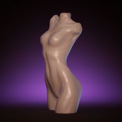 001.jpg A woman's body figure