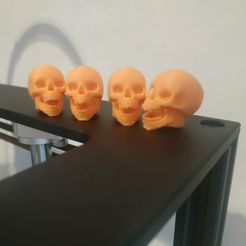 skull.jpg STL file Skull skull valve cap valve caps・3D printing model to download, Markus72