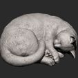 sleeping_cat8.jpg Sleeping cat 3D print model