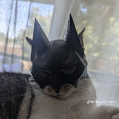 BAT CAT (FREE SIZE TEST) - Helmet