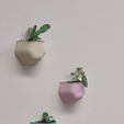 560208_0.jpg Happy Plant Buddy