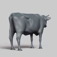 R05.jpg cow pose 02