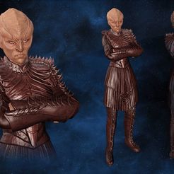 Klingon_Miracle_Worker_Bridge_Officer.jpg Free STL file Ha'tesh Ep'sukht・Model to download and 3D print