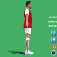Vieira_3.jpg 3D Rigged Fabio Vieira Arsenal 2024