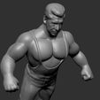 vkm7.jpg Wrestler Vince McMahon LJN WWF WWE NWA style