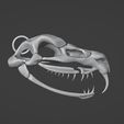 ScreenShot005.jpg Strange Snake Skull