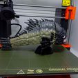 TTF REY ype USA a ett alk Pi ’ 4 of am ee 5 vat Archivo STL Monstruo articulado Piraña para imprimir・Plan de impresora 3D para descargar, Avoline3D