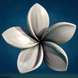Plmr1-01.png Flor de plumeria