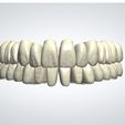 foto1.jpg 3Shape Library AP_Exo_FGX