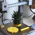 02.jpg Pineapple coasters